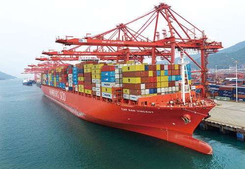 連云港與徐州共創(chuàng)一帶一路標桿通道模式 雙城記賦能江蘇貨運金三角